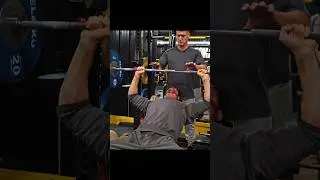 DAVID LAID | Scream & Shout #motivation #gymshark #gymshorts