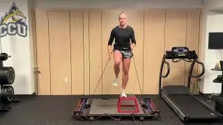 Vertimax single legged step ups front view