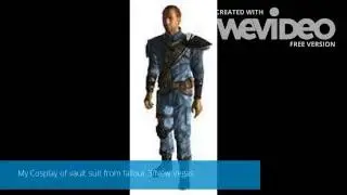Vault suit