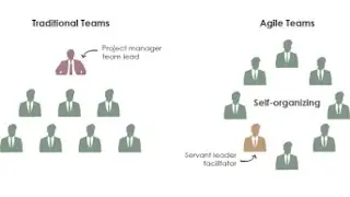 What is Self Organizing Team