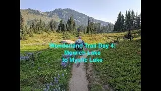 Wonderland Trail Section Hike, Mowich Lake to Mystic Lake: Day 4