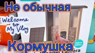 РИО ПОПУГАЙ ВЫШЕЛ СЛУЧАЙНО #МАГАЗИН #iowa #life #vlog #usa #parrot