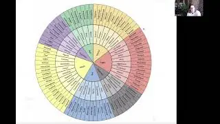 Using the Feelings Wheel to Support Sobriety & Emotional Awareness