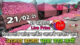 Pimpalgaon Onion Market Price Today:Latest Rates And Insights 21February 2025