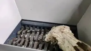 Animal bones skeletons wastes shredding machine, shredder crusher pulverizer for animals bones