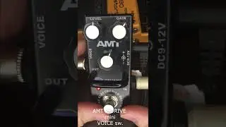 AMT P-DRIVE mini VOICE test