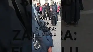 MERLU