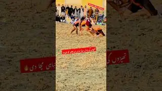 How to Rain of slaps wreaked havoc in the arena! Epic fight تباہی مچا دی #trending #viralvideo