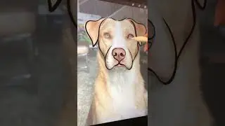 Dog Drawing Ouline Procreate