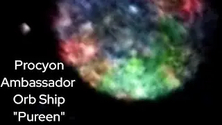 Message from Valance, The Residential Care Coordinator of the Procyon Ambassador Orb Ship Purine. 