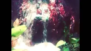 Aquarium pasir terjun