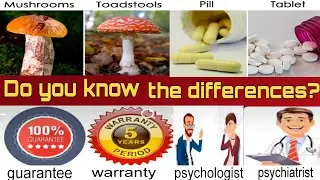 Differences || difference between bridge v/s flyover || psychologist v/s psychiatrist