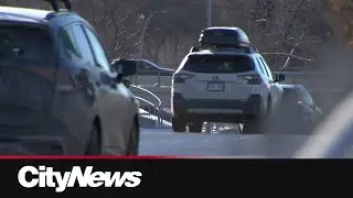 Auto theft claims rise significantly in Alberta from 2021 to 2025: Insurance Bureau of Canada