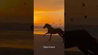 Прошу останься &bull; AnGry #мажорабакан #music #абакан #angry #музыка #ирсенмажор