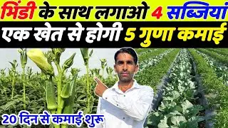 भिण्डी के साथ लगाओ ये 4 सब्ज़ियाँ होगी चार गुना कमाई | February me konsi sabji lagaye | Bhindi kheti