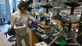 The heat is on for building 3D artificial organ tissues