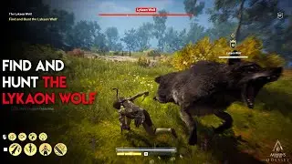 Find And Hunt The Lykaon Wolf | Legendary Animal The Lykaon Wolf Location | Assassins Creed Odyssey