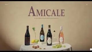 Vini Amicale   Enjoy the uniqueness of Veronese Wines &mdash; Curated by WEBGRAPH