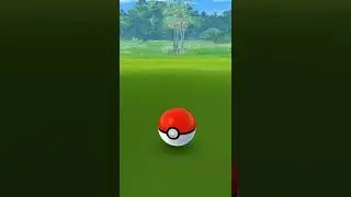 Pok&eacute;mon GO Doduo 412 CP