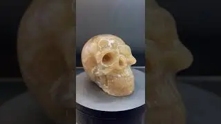 Resin skull. Halloween spider special! WARNING DEAD SPIDER FOOTAGE