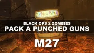 Black Ops 2 Zombies: Pack A Punched Guns | M27/Mystifier