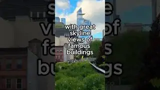 Exploring New York City&rsquo;s High Line Park.