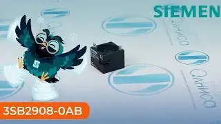 3SB2908-0AB Держатель Siemens - Олниса