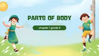 daily test parts of body