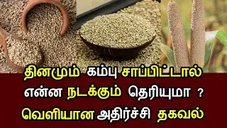 கம்பு சாப்பிட்டால் நடக்கும் அதிசயம் ! Millet health benefits in tamil ! Health tip in tamil !
