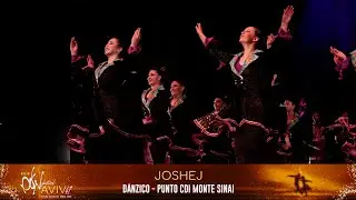 49 Festival Aviv | Joshej | D&aacute;nzico - Punto CDI Monte Sinai