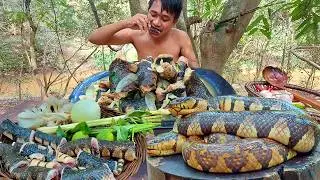 Cooking Snake Soup With Mushroom, Snake Soup Recipe Cooking In Forest