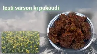 sarson Ke Phool ka testi pakaudi