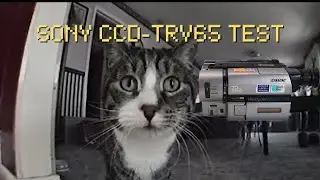 Sony CCD-TRV65 Test Footage