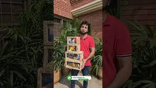 Some quality birds for quality lovers of Karachi !#dhillonaviary #rahimalidhillon #opaline #lovebird