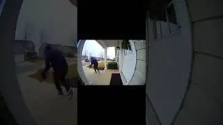 Doorcam: Package Thief Ambushed By Epic Glitter Bomb Explosion 💥🎨✨ #GlitterBomb