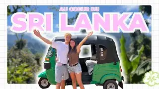 Au cœur du Sri Lanka | Carnet de voyage dans les terres 🍵🌿⛰️