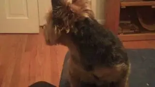 RUFFLES HAVE RIDGES