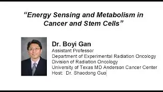 Energy Sensing and Metabolism in Cancer and Stem Cells