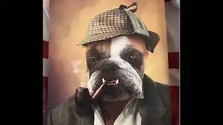 Doggovinci Customizable Pet Products