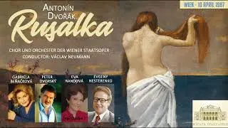 Dvoř&aacute;k: 