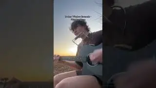 Broken Window Serenade - Whiskey Myers #cover #countrysinger #guitar #harmonica #country #sunset