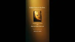 Golden Leaves in the Breeze 02 /무료 배경음악 #music #K-pop