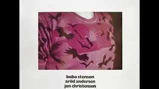 Bobo stenson 