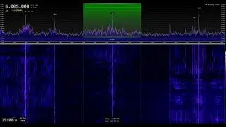 🇹🇼 Radio Taiwan International / 6005 kHz - Shortwave Reception (Sign-in)
