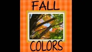 Hasemeier Early Learning Resources - Fall Colors!