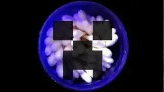 MineZ Livestream Going live!!! Check me out at twitch.tv/kewtyp