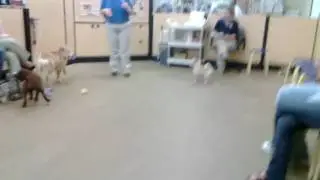 20100310 003