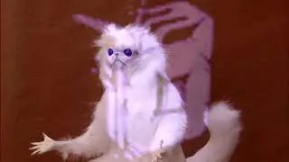 I Need Gas! [DEVOUR]