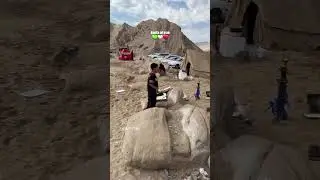 South of Iran #iran#south #Iranian #persian