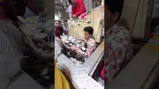 Miracle Donations at Sanwariya Seth Mandir #shortsvideo